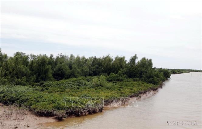 Vườn quốc gia Xuân Thủy (Ninh Bình) chính thức được công nhận là Công viên Di sản ASEAN vào tháng 9/2025. Vườn rộng hơn 7.100ha, là khu Ramsar (công ước quốc tế quy định về bảo tồn và sử dụng hợp lý, thích đáng các vùng đất ngập nước có tầm quan trọng quốc tế) đầu tiên của Việt Nam và Đông Nam Á. Ảnh: Thái Thuần – TTXVN