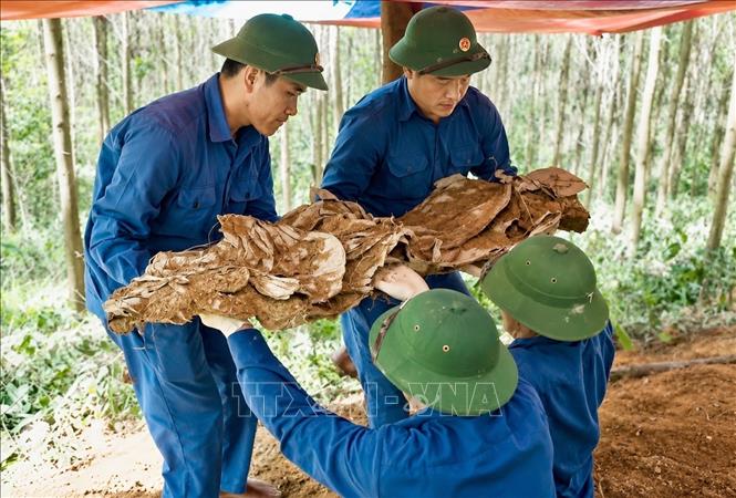 Đội tìm kiếm, quy tập hài cốt liệt sĩ Sư đoàn 968 (Quân khu 4) tìm kiếm, quy tập hài cốt liệt sĩ tại đồi Chôm Chôm, xã Hiếu Giang, Quảng Trị. Ảnh: TTXVN phát