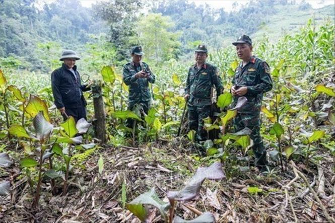 Đội tìm kiếm, quy tập hài cốt liệt sĩ tỉnh Tuyên Quang tổ chức khảo sát, xác minh thông tin được ông Vàng Thìn Hòa (thôn Hoàng Lỳ Phả, xã Minh Tân, Tuyên Quang) cung cấp về vị trí nấm - nghi mộ liệt sĩ hy sinh trong cuộc chiến đấu bảo vệ biên giới phía Bắc. Ảnh: Hoàng Hiếu - TTXVN