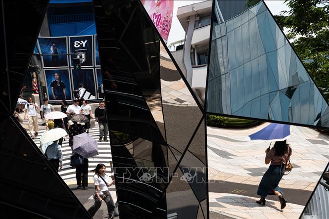 Người dân che ô tránh nắng nóng tại Tokyo, Nhật Bản. Ảnh: THX/TTXVN phát