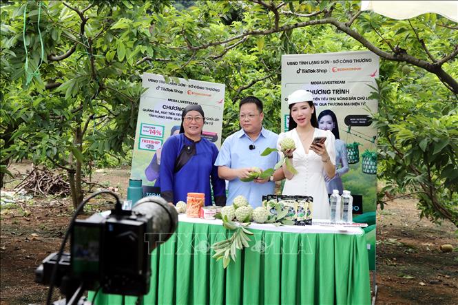 Chủ tịch UBND xã Chi Lăng Hoàng Xuân Hòa cùng các nhà sáng tạo nội dung nổi tiếng trên không gian mạng tham gia phiên livestream quảng bá, bán na ngay tại vườn cho nông dân. Ảnh: Văn Đạt - TTXVN