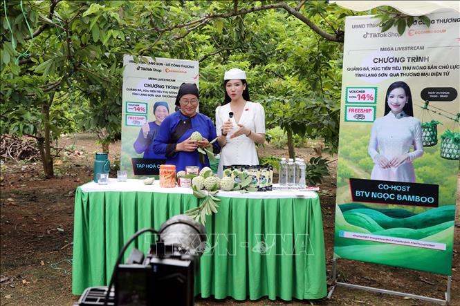 Các nhà sáng tạo nội dung nổi tiếng trên không gian mạng được cơ quan chức năng tỉnh Lạng Sơn và các địa phương mời về livestream quảng bá, bán na cho nông dân. Ảnh: Văn Đạt - TTXVN