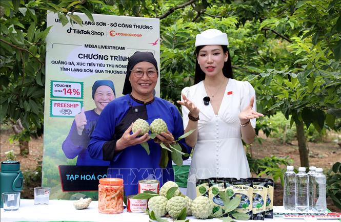 Các nhà sáng tạo nội dung nổi tiếng trên không gian mạng được cơ quan chức năng tỉnh Lạng Sơn và các địa phương mời về livestream quảng bá, bán na cho nông dân. Ảnh: Văn Đạt - TTXVN