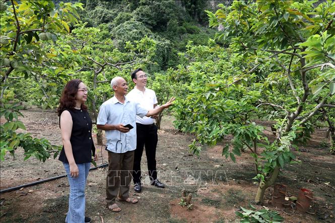 Ông Lương Văn Thắng, chủ vườn na ở thôn Làng Thượng, xã Chi Lăng chia sẻ với đại biểu, du khách về đặc sản na núi đá Lạng Sơn. Ảnh: Văn Đạt - TTXVN
