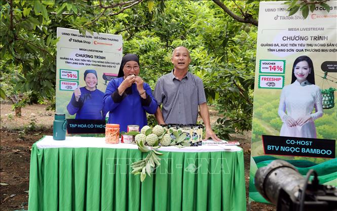 Ông Lương Văn Thắng, chủ vườn na ở thôn Làng Thượng, xã Chi Lăng tham gia phiên livestream quảng bá, bán na ngay tại vườn cùng các nhà sáng tạo nội dung nổi tiếng trên không gian mạng. Ảnh: Văn Đạt - TTXVN