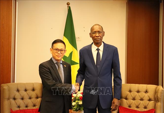 Bộ trưởng Hội nhập châu Phi, Ngoại giao và người Senegal ở nước ngoài Cheikh NIANG tiếp Đại sứ Việt Nam tại Algeria kiêm nhiệm Senegal Trần Quốc Khánh. Ảnh: Mạnh Hùng – PV TTXVN tại Algeria 