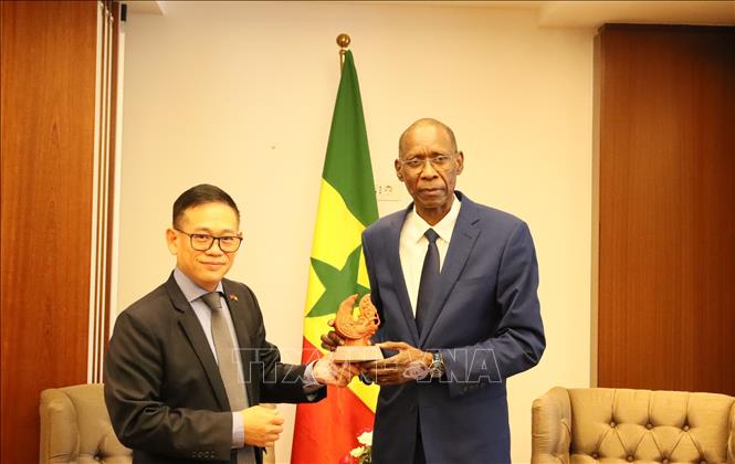 Đại sứ Trần Quốc Khánh tặng quà lưu nhiệm cho Bộ trưởng Ngoại giao Senegal. Ảnh: Mạnh Hùng – PV TTXVN tại Algeria 