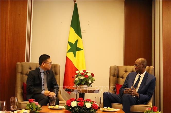 Bộ trưởng Hội nhập châu Phi, Ngoại giao và người Senegal ở nước ngoài Cheikh NIANG tiếp Đại sứ Việt Nam tại Algeria kiêm nhiệm Senegal Trần Quốc Khánh. Ảnh: Mạnh Hùng – PV TTXVN tại Algeria 