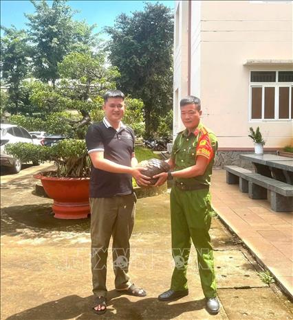 Người dân giao nộp động vật hoang dã khi phát hiện. Ảnh: TTXVN phát