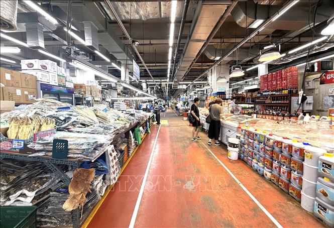 Không gian bên trong Chợ hải sản Soraepogu (Sorae Fish Market), thành phố Incheon, với hàng trăm gian hàng kinh doanh hải sản. Ảnh: Nhật Hưng - PV TTXVN tại Hàn Quốc
