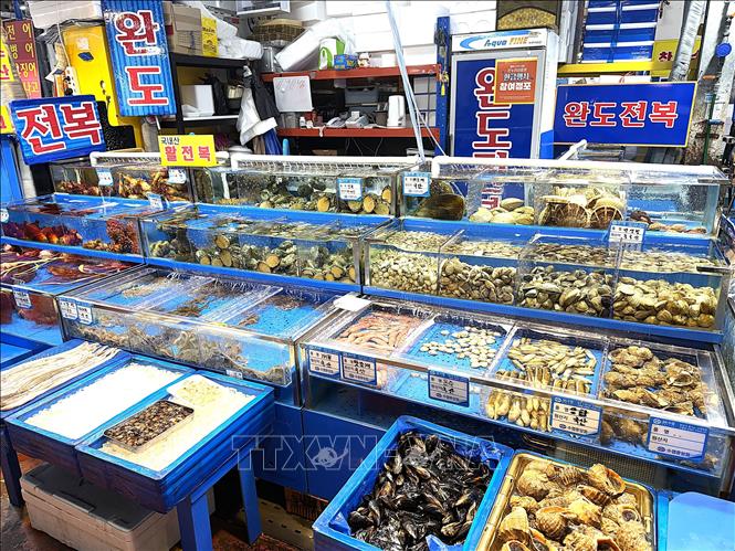 Hải sản tươi sống được bày bán tại Chợ hải sản Soraepogu (Sorae Fish Market), thành phố Incheon. Ảnh: Nhật Hưng - PV TTXVN tại Hàn Quốc
