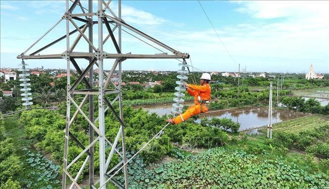 Vệ sinh sứ cách điện trên đường dây 110kV ở xã Hải Quang, tỉnh Ninh Bình. Ảnh: Vũ Sinh - TTXVN