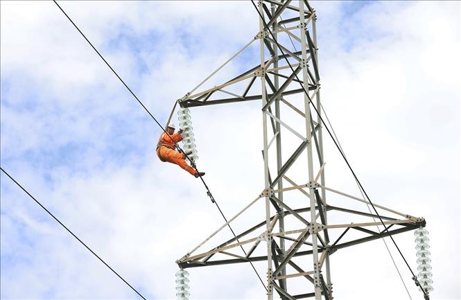 Vệ sinh sứ cách điện trên đường dây 110kV ở xã Hải Quang, tỉnh Ninh Bình. Ảnh: Vũ Sinh - TTXVN