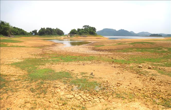 Hiện tượng khô nứt xảy ra trên những diện tích bãi bồi quanh lòng hồ Vực Mấu (phường Hoàng Mai) khi mực nước xuống thấp. Ảnh: Xuân Tiến - TTXVN 
