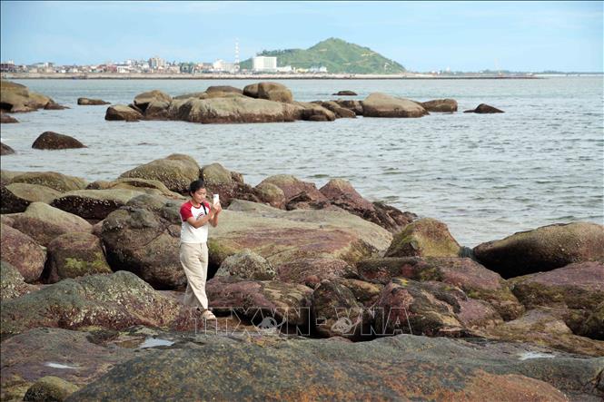 Những nhà sáng tạo nội dung 