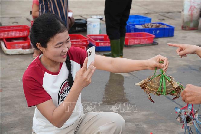 Những món hải sản tươi ngon của vùng biển Hà Tĩnh được chị Võ Thị Lành (xã Cẩm Trung) giới thiệu qua các video ngắn trên nền tảng số. Ảnh: Hữu Quyết - TTXVN 