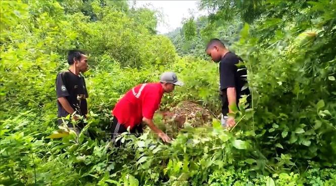 Người dân nước bạn Lào cung cấp vị trí có một phần mộ nữ liệt sĩ Việt Nam ở huyện Sepon, tỉnh Savannakhet (Lào). Ảnh: TTXVN phát