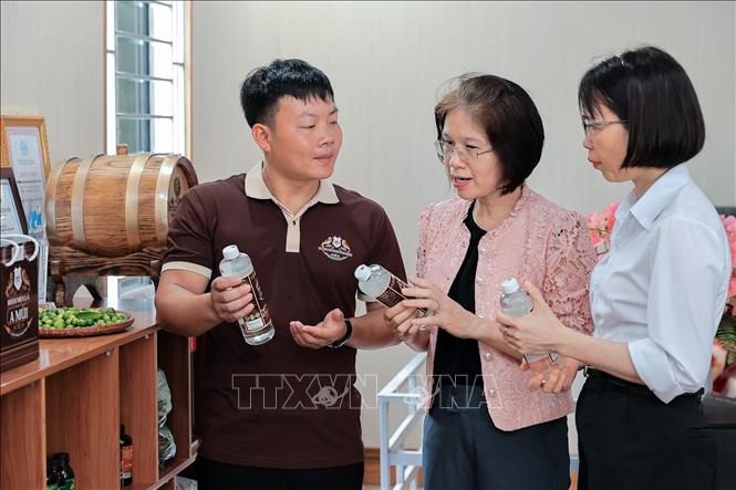 Anh Hoàng Phúc Thắng giới thiệu sản phẩm OCOP “Rượu men lá A Múi Mẫu Sơn” với đoàn công tác Liên minh Hợp tác xã Việt Nam. Ảnh: Lê Đông - TTXVN