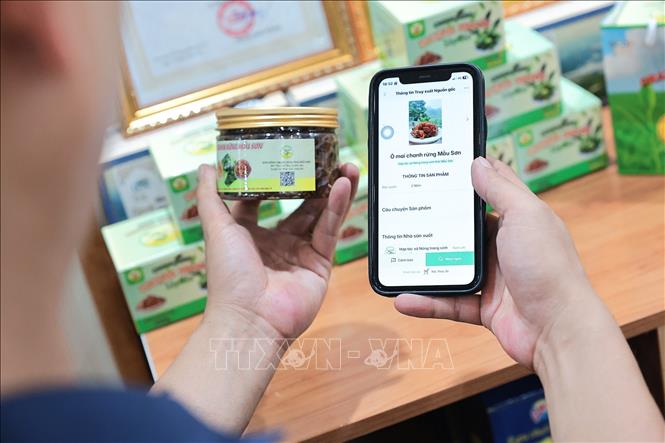 HTX Nông trang sinh thái Mẫu Sơn ứng dụng mã QR truy xuất nguồn gốc xuất xứ, góp phần nâng cao giá trị và tăng niềm tin của người tiêu dùng đối với sản phẩm địa phương. Ảnh: Lê Đông - TTXVN