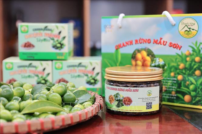Sản phẩm “Ô mai chanh rừng Mẫu Sơn” của HTX Nông trang sinh thái Mẫu Sơn đạt chứng nhận OCOP 3 sao. Ảnh: Lê Đông - TTXVN