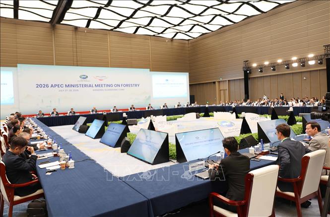 Quang cảnh Hội nghị Bộ trưởng APEC về Lâm nghiệp tại Thâm Quyến. Ảnh: Công Tuyên - PV TTXVN tại Trung Quốc 