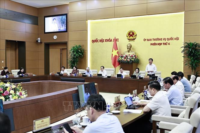 Phó Chủ tịch Quốc hội Nguyễn Hồng Diên phát biểu. Ảnh: Doãn Tấn - TTXVN