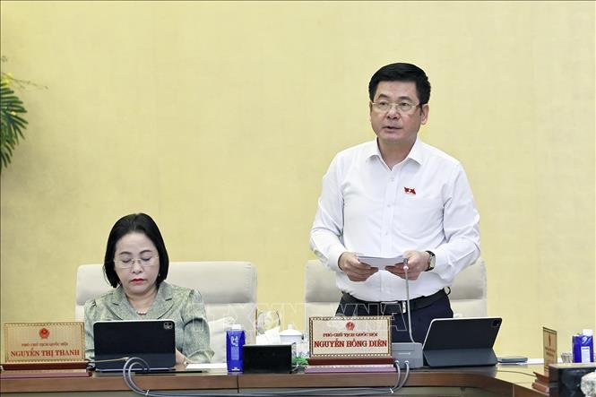 Phó Chủ tịch Quốc hội Nguyễn Hồng Diên phát biểu. Ảnh: Doãn Tấn - TTXVN
