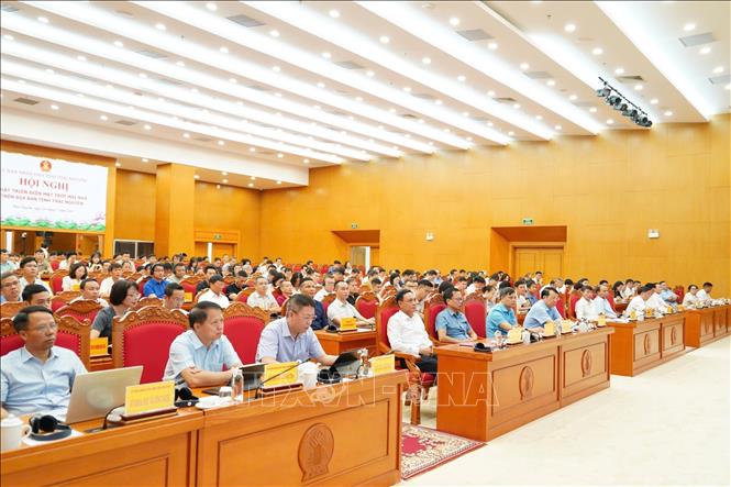 Các đại biểu dự hội nghị. Ảnh: Thu Hằng - TTXVN