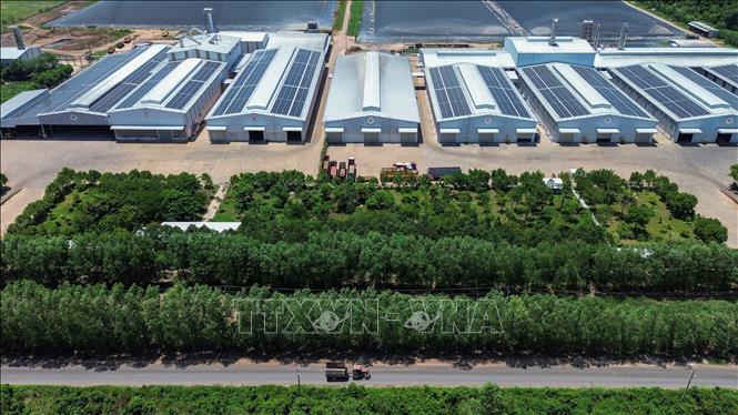 Hệ thống nhà máy sản xuất hiện đại tạo động lực phát triển công nghiệp, thu hút đầu tư và thúc đẩy tăng trưởng kinh tế của tỉnh Tây Ninh. Ảnh: Giang Phương - TTXVN