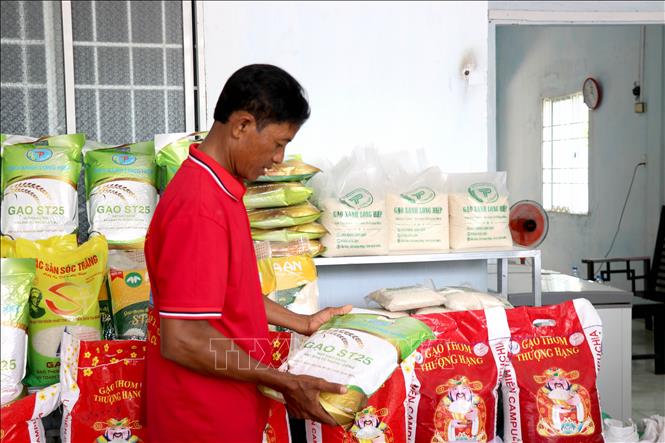 Ông Thạch Khone, Hợp tác xã Nông nghiệp hữu cơ Long Hiệp, xã Long Hiệp, tỉnh Vĩnh Long, giới thiệu sản phẩm gạo của hợp tác xã. Ảnh: Thanh Hòa - TTXVN