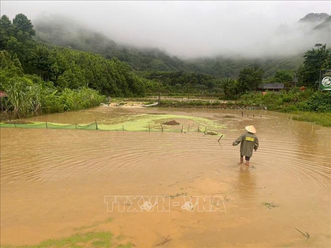 Khoảng 38,46 ha lúa, cây lâu năm, thủy sản tại xã Thượng Hà bị thiệt hại do mưa, ngập. Ảnh: TTXVN phát