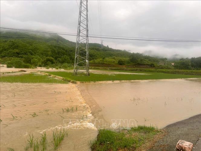 Ước tính khoảng 38,46 ha lúa, cây lâu năm, thủy sản tại xã Thượng Hà bị thiệt hại do mưa, ngập. Ảnh: TTXVN phát
