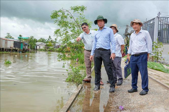 Ông Nguyễn Tấn Nhơn (giữa), Phó Giám đốc Sở Nông nghiệp và Môi trường thành phố Cần Thơ, khảo sát điểm sạt lở bờ rạch Mang Cá gần UBND xã Đại Hải. Ảnh: Thanh Liêm - TTXVN