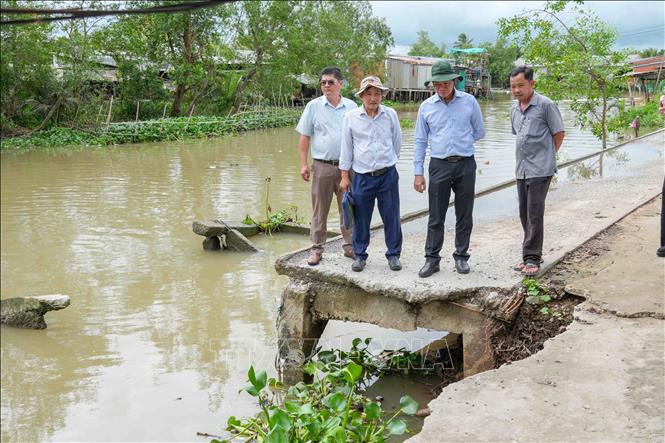 Ông Nguyễn Tấn Nhơn (thứ hai, từ phải sang), Phó Giám đốc Sở Nông nghiệp và Môi trường thành phố Cần Thơ, khảo sát điểm sạt lở bờ rạch Mang Cá gần UBND xã Đại Hải. Ảnh: Thanh Liêm - TTXVN