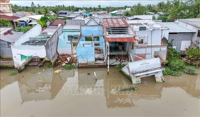 Vị trí sạt lở bờ rạch Mang Cá gần UBND xã Đại Hải ảnh hưởng đến 11 căn nhà của người dân. Ảnh: Thanh Liêm - TTXVN
