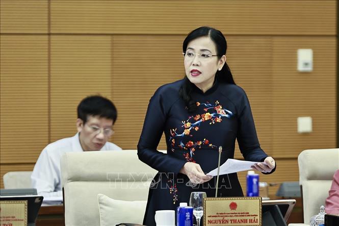 Chủ nhiệm Ủy ban Khoa học, Công nghệ và Môi trường của Quốc hội Nguyễn Thanh Hải phát biểu. Ảnh: Doãn Tấn - TTXVN