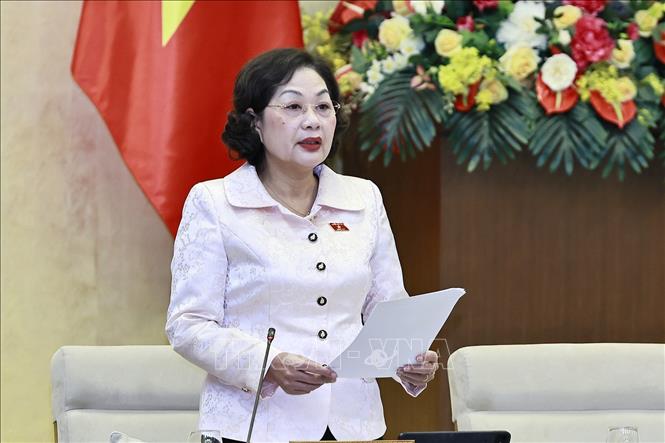 Phó Chủ tịch Quốc hội Nguyễn Thị Hồng phát biểu. Ảnh: Doãn Tấn - TTXVN