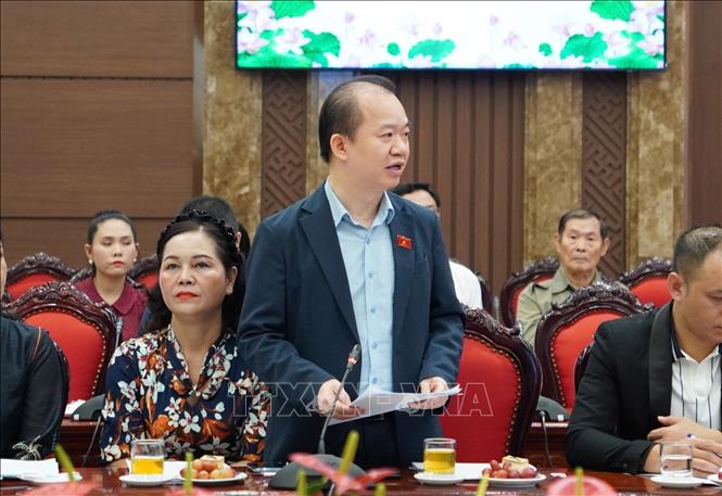 PGS.TS Bùi Hoài Sơn, Ủy viên Chuyên trách Ủy ban Văn hóa và Xã hội của Quốc hội góp ý về phát triển công nghiệp văn hóa. Ảnh: Tuyết Mai - TTXVN