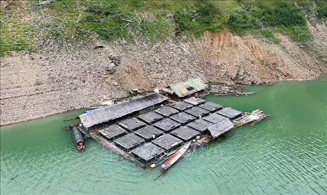 Riêng xã Yên Na đã ó 161 lồng cá, mang về thu nhập ổn định cho người dân vùng núi. Ảnh: Văn Tý-TTXVN