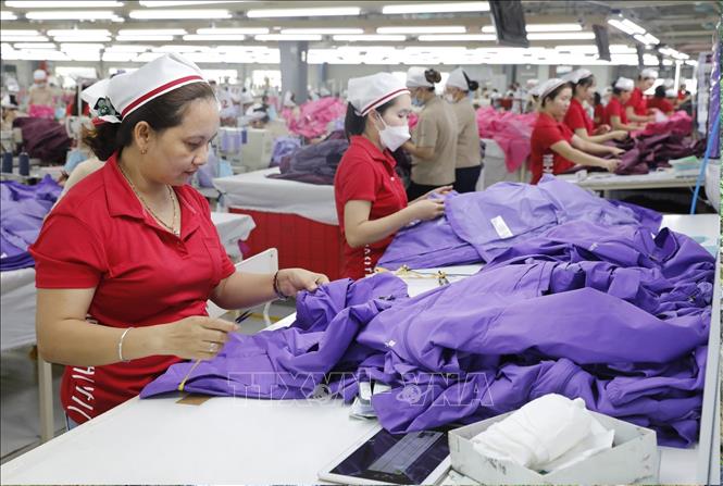 Công ty TNHH MTV Việt Pan Pacific World (Hàn Quốc), xã Hiệp Hòa, Bắc Ninh, mỗi năm xuất khẩu hàng triệu sản phẩm sang thị trường Mỹ, EU…Ảnh: Trần Việt - TTXVN