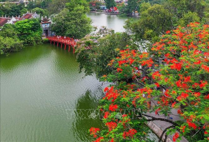 The The Huc Bridge and Ngoc Son Temple, located in Hoan Kiem Lake, continue to be important destinations, connecting the landscape and historical heritage with cultural tourism products and urban experiences. VNA Photo: Phạm Tuấn Anh