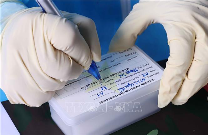 Thực hiện quy trình số hóa dữ liệu thông tin khai quật, đưa hài cốt liệt sĩ chưa xác định danh tính tại khu vực lấy mẫu sinh phẩm. Ảnh: Văn Điệp – TTXVN
