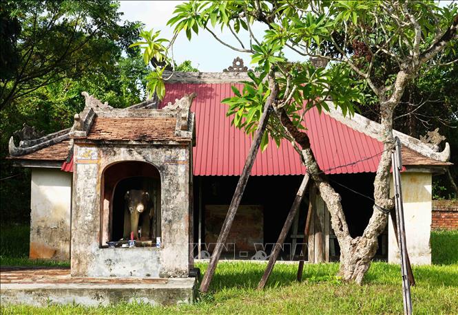 Miếu Tượng - nơi thờ tượng voi chế tác tinh xảo bằng đá trong Điện Voi Ré, thành phố Huế. Ảnh: Nguyên Lý - TTXVN