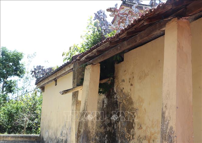 Mặt bên đình làng An Định xuống cấp, trụ bị lệch, cây mọc bên trong. Ảnh: Đinh Hương - TTXVN
