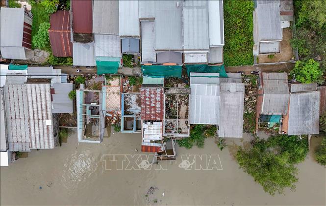 11 căn nhà ven rạch Mang Cá (xã Đại Hải, thành phố Cần Thơ) bị sạt lở nghiêm trọng. Ảnh: Thanh Liêm - TTXVN