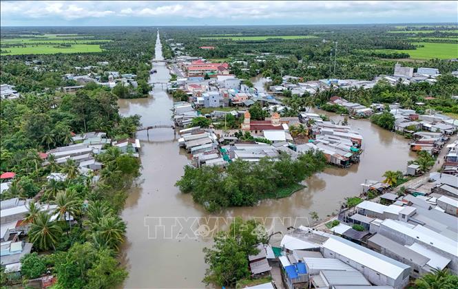 Rạch Mang Cá chảy qua trung tâm xã Đại Hải, thành phố Cần Thơ xuất hiện nhiều điểm sạt lở nghiêm trọng. Ảnh: Thanh Liêm - TTXVN