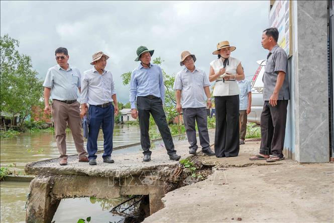 Lãnh đạo Sở Nông nghiệp và Môi trường thành phố Cần Thơ khảo sát điểm sạt lở bờ rạch Mang Cá ở xã Đại Hải làm sụp tuyến đường giao thông ven sông. Ảnh: Thanh Liêm - TTXVN