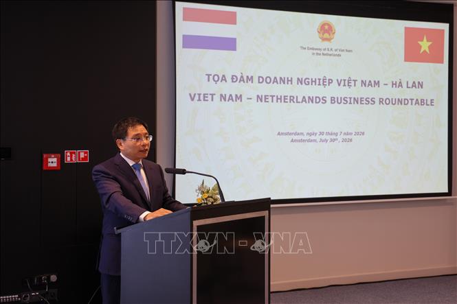 Phó Thủ tướng Chính phủ Nguyễn Văn Thắng nhấn mạnh quan hệ Việt Nam – Hà Lan đang phát triển hết sức tích cực và thực chất, đặc biệt trong các lĩnh vực kinh tế, thương mại và đầu tư. Ảnh: Anh Hiển - PV TTXVN tại châu Âu