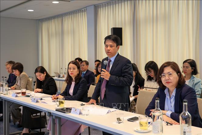 Phó Thống đốc Ngân hàng Nhà nước Việt Nam Phạm Tiến Dũng làm rõ nhiều nội dung doanh nghiệp quan tâm. Ảnh: Anh Hiển - PV TTXVN tại châu Âu