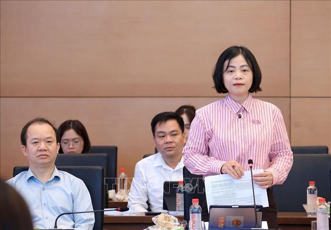 Uỷ viên hoạt động chuyên trách tại Ủy ban Văn hóa và Xã hội của Quốc hội Nguyễn Thanh Cầm phát biểu. Ảnh: Tuấn Anh - TTXVN